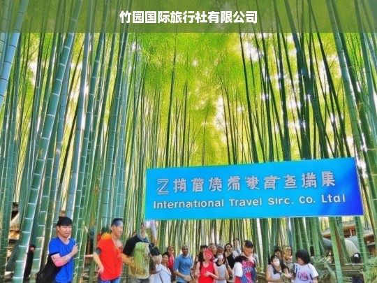 竹园国际旅行社有限公司，您的全球旅行专家