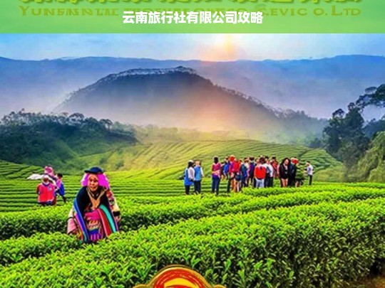 云南旅行社有限公司，全方位旅行攻略与贴心服务指南