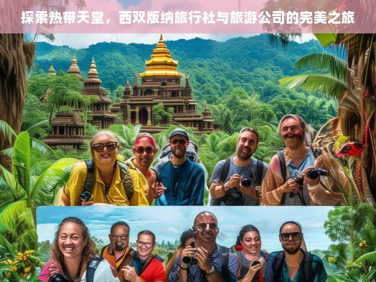 西双版纳热带天堂之旅，旅行社与旅游公司的完美合作体验