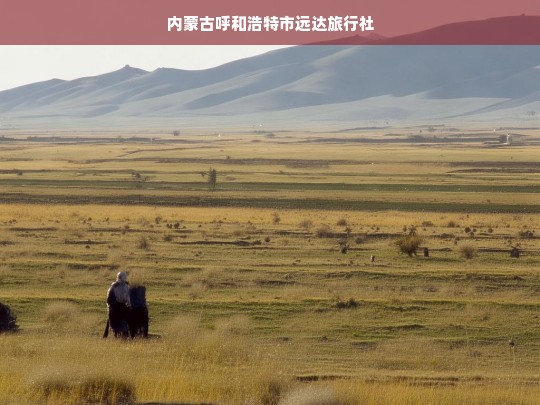 内蒙古呼和浩特市远达旅行社，探索草原风情的专业向导