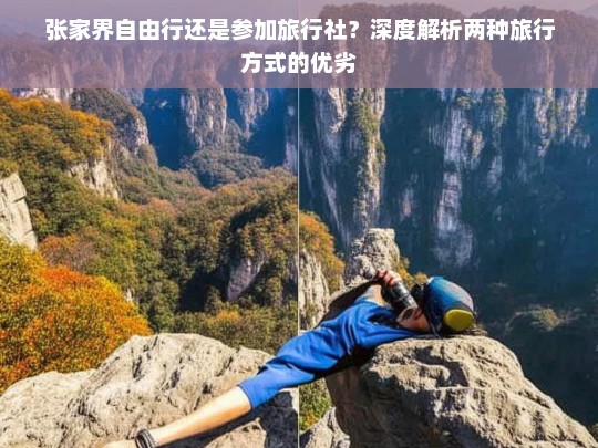 张家界自由行VS旅行社，哪种旅行方式更适合你？