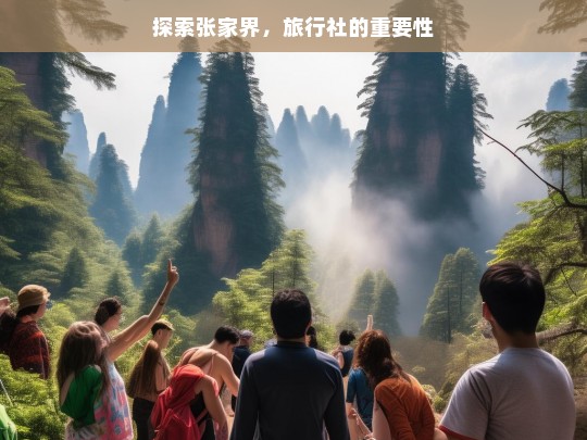 探索张家界，旅行社的重要性，探索张家界与旅行社重要性之关联