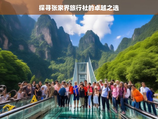 探寻张家界旅行社的卓越之选，探寻张家界卓越旅行社