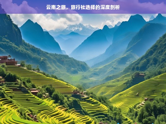 云南之旅，旅行社选择的深度剖析，云南之旅旅行社选择剖析