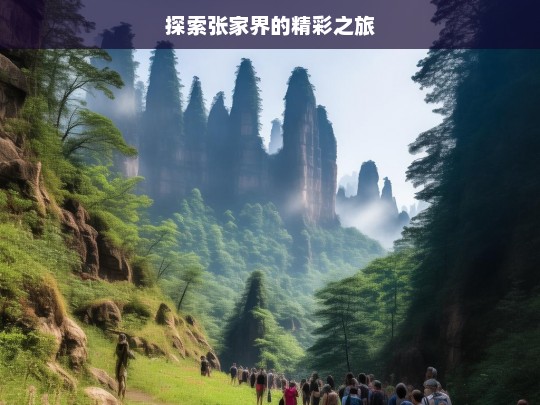 探索张家界的精彩之旅，张家界之旅，探索精彩