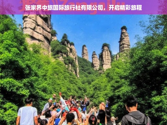 张家界中旅国际旅行社有限公司，开启精彩旅程，张家界中旅国际旅行社有限公司，精彩旅程由此开启