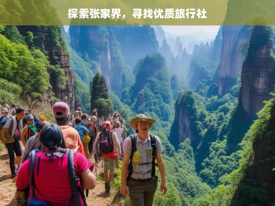 探索张家界，寻找优质旅行社，张家界优质旅行社探索之旅