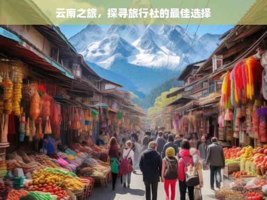 云南之旅，探寻旅行社的最佳选择，云南之旅与旅行社选择攻略