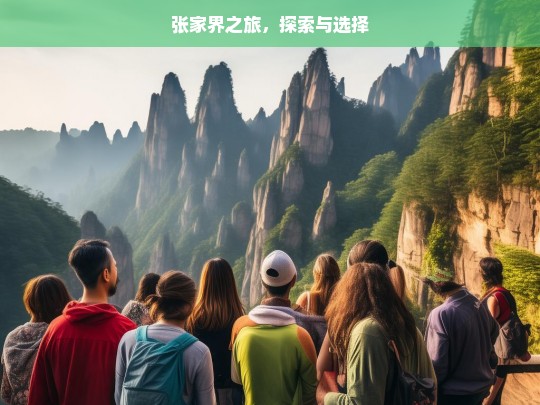 张家界之旅，探索与选择，张家界之旅，探索与抉择