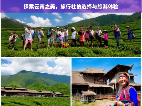 探索云南之美，旅行社的选择与旅游体验，探索云南之美，旅行社与旅游体验的关系