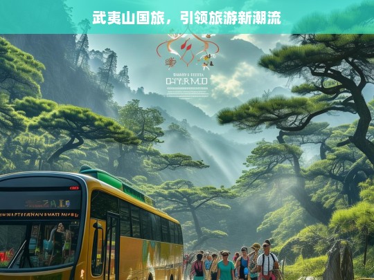 武夷山国旅，引领旅游新潮流，武夷山国旅，引领旅游新潮流