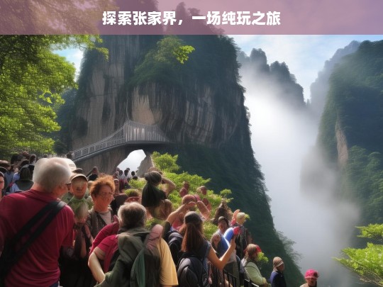 探索张家界，一场纯玩之旅，张家界纯玩之旅探索