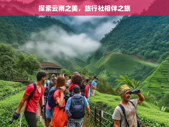 探索云南之美，旅行社相伴之旅，云南之美，与旅行社的探索之旅