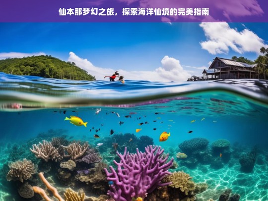 仙本那梦幻之旅，探索海洋仙境的完美指南，仙本那梦幻之旅，探索海洋仙境指南