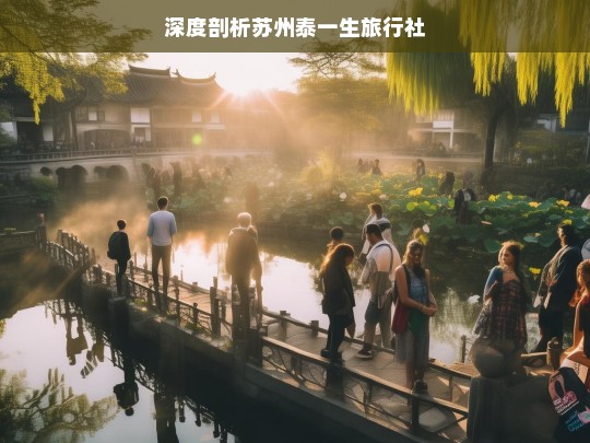 深度剖析苏州泰一生旅行社，苏州泰一生旅行社深度剖析